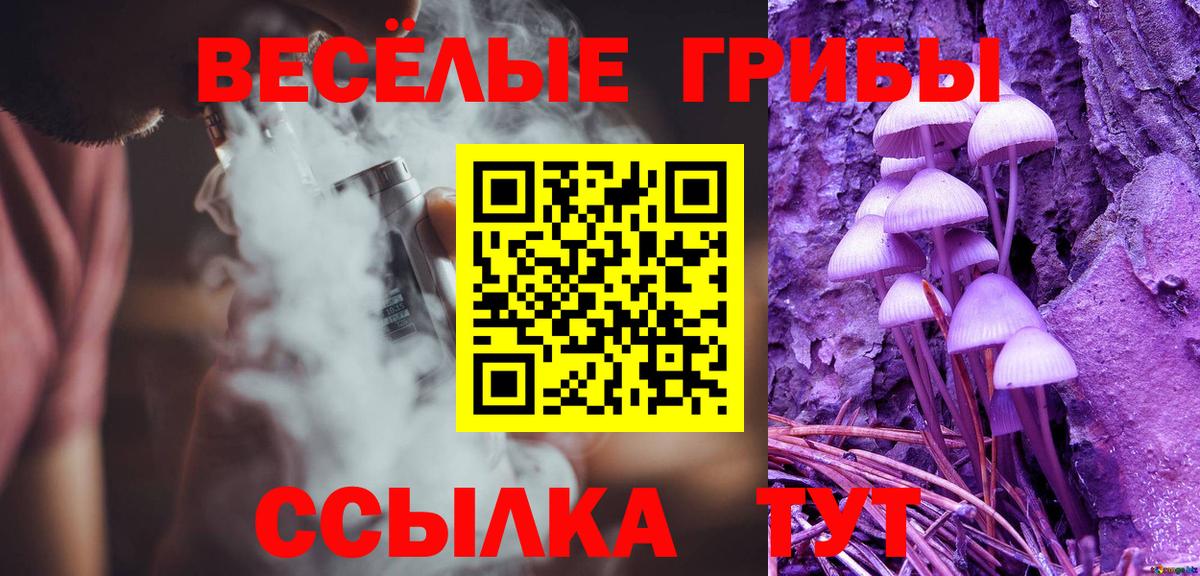 Новозыбков  Псилоцибиновые грибы прущие грибы  Вход с VPN 