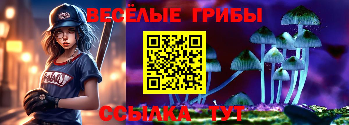 Галлюциногенные грибы Magic Shrooms Новозыбков