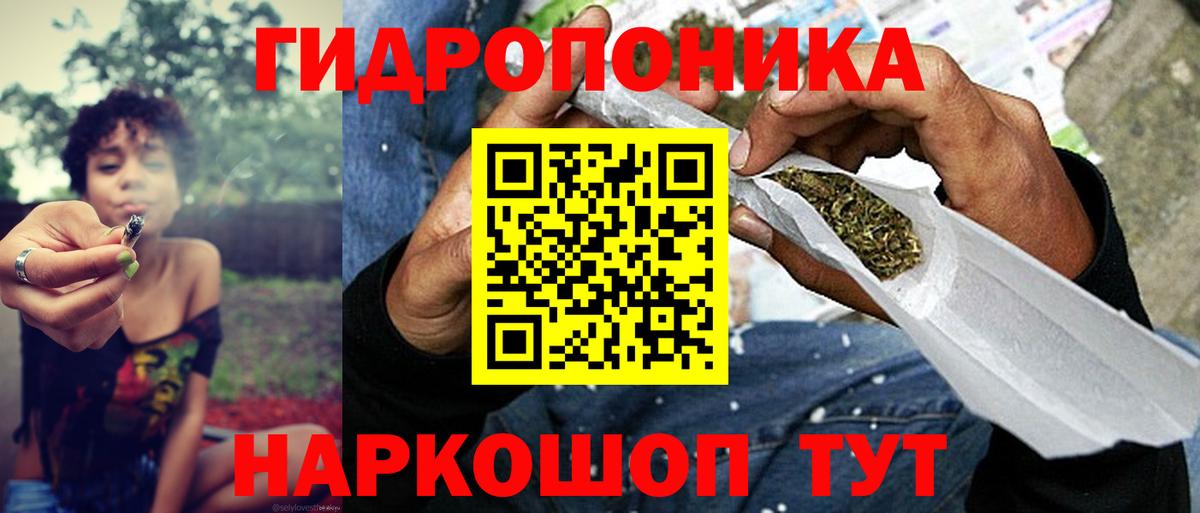 Бошки марихуана гибрид  Вход с VPN  Новозыбков  Канабис Ganja  Бошки марихуана марихуана 